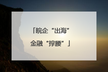 皖企“出海” 金融“撑腰”