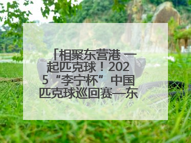 相聚东营港 一起匹克球！2025“李宁杯”中国匹克球巡回赛—东营站（CPC—1000）暨“好运山东”黄河口匹克球公开赛落幕