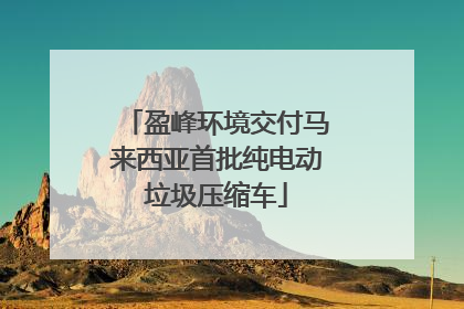 盈峰环境交付马来西亚首批纯电动垃圾压缩车