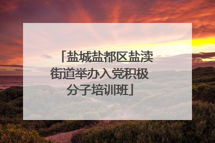 盐城盐都区盐渎街道举办入党积极分子培训班