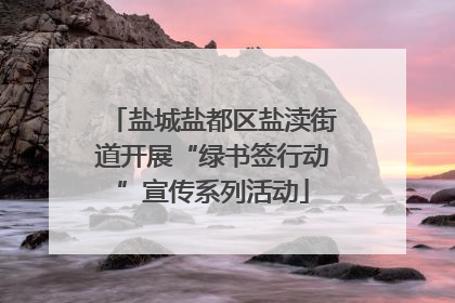 盐城盐都区盐渎街道开展“绿书签行动”宣传系列活动