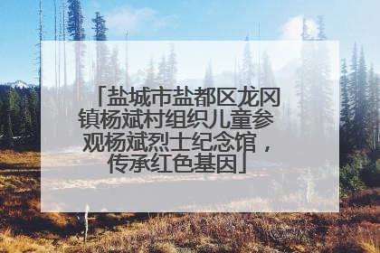 盐城市盐都区龙冈镇杨斌村组织儿童参观杨斌烈士纪念馆，传承红色基因