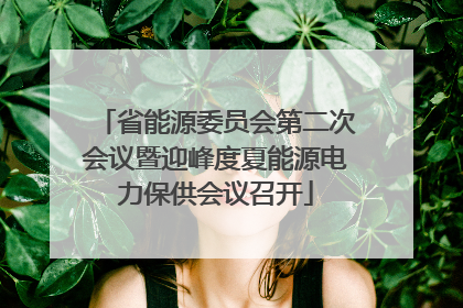 省能源委员会第二次会议暨迎峰度夏能源电力保供会议召开
