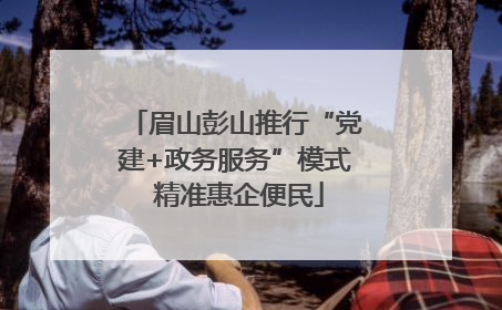 眉山彭山推行“党建+政务服务”模式 精准惠企便民