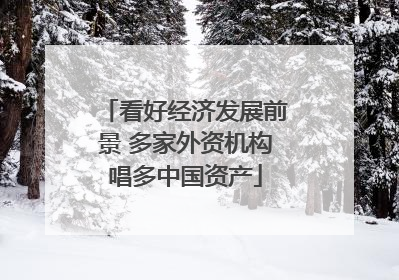 看好经济发展前景 多家外资机构唱多中国资产