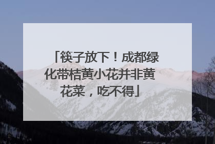 筷子放下！成都绿化带桔黄小花并非黄花菜，吃不得