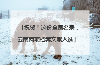 祝贺！这份全国名录，云南两项档案文献入选