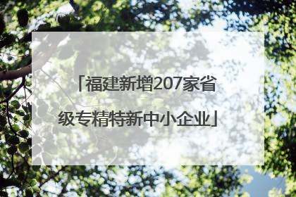 福建新增207家省级专精特新中小企业