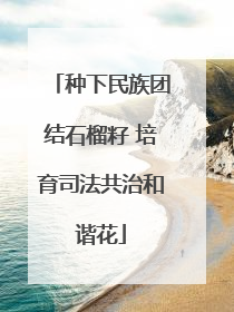 种下民族团结石榴籽 培育司法共治和谐花