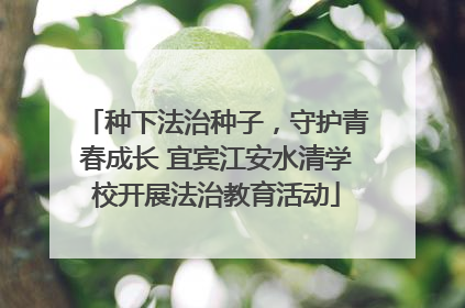 种下法治种子，守护青春成长 宜宾江安水清学校开展法治教育活动