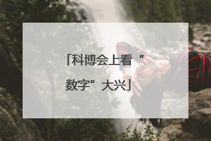 科博会上看“数字”大兴