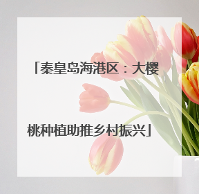 秦皇岛海港区：大樱桃种植助推乡村振兴