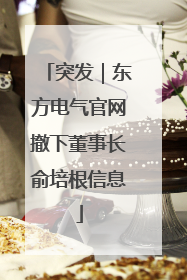 突发｜东方电气官网撤下董事长俞培根信息