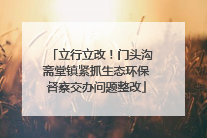 立行立改！门头沟斋堂镇紧抓生态环保督察交办问题整改
