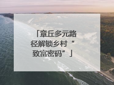 章丘多元路径解锁乡村“致富密码”
