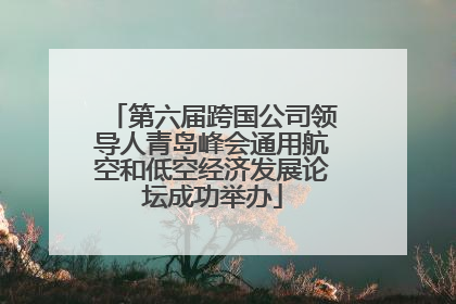 第六届跨国公司领导人青岛峰会通用航空和低空经济发展论坛成功举办