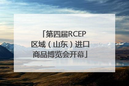第四届RCEP区域（山东）进口商品博览会开幕