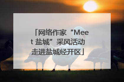 网络作家“Meet 盐城”采风活动走进盐城经开区