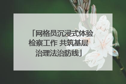 网格员沉浸式体验检察工作 共筑基层治理法治防线