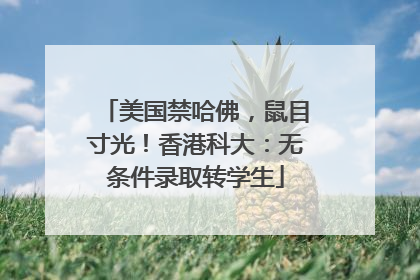 美国禁哈佛，鼠目寸光！香港科大：无条件录取转学生