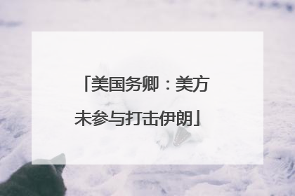美国务卿：美方未参与打击伊朗
