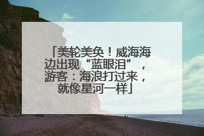 美轮美奂！威海海边出现“蓝眼泪”，游客：海浪打过来，就像星河一样