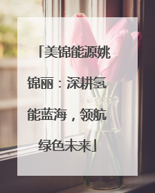 美锦能源姚锦丽：深耕氢能蓝海，领航绿色未来
