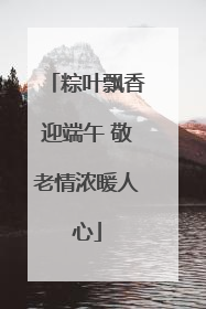 粽叶飘香迎端午 敬老情浓暖人心