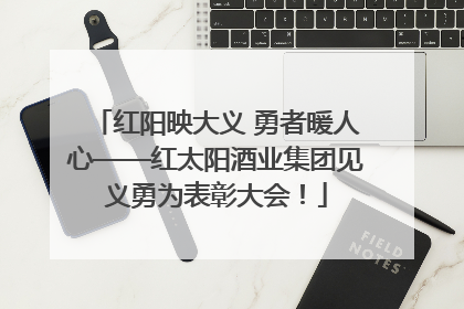 红阳映大义 勇者暖人心——红太阳酒业集团见义勇为表彰大会！