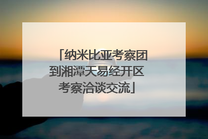 纳米比亚考察团到湘潭天易经开区考察洽谈交流