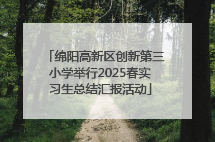 绵阳高新区创新第三小学举行2025春实习生总结汇报活动