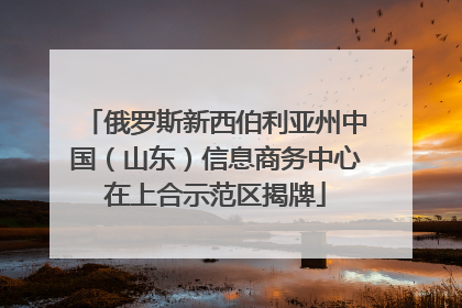 俄罗斯新西伯利亚州中国（山东）信息商务中心在上合示范区揭牌