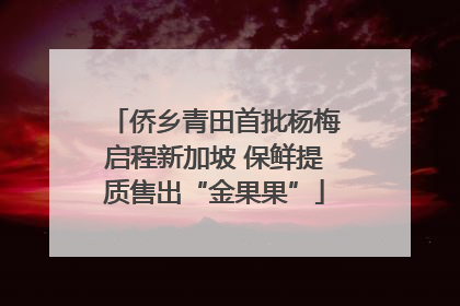 侨乡青田首批杨梅启程新加坡 保鲜提质售出“金果果”