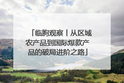 临朐观察丨从区域农产品到国际爆款产品的破局进阶之路