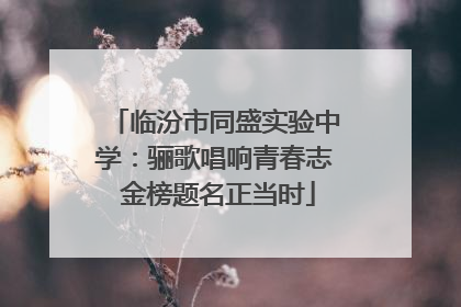 临汾市同盛实验中学：骊歌唱响青春志 金榜题名正当时