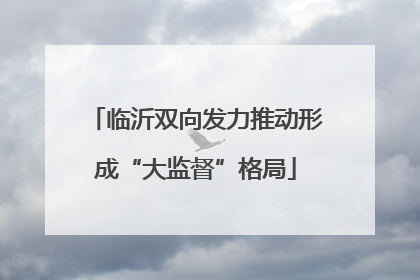 临沂双向发力推动形成“大监督”格局
