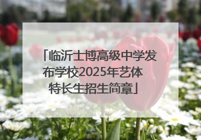 临沂士博高级中学发布学校2025年艺体特长生招生简章