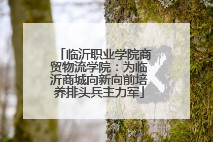 临沂职业学院商贸物流学院：为临沂商城向新向前培养排头兵主力军