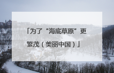 为了“海底草原”更繁茂（美丽中国）