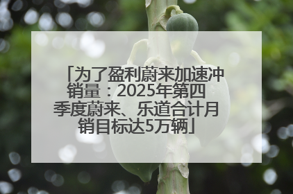 为了盈利蔚来加速冲销量：2025年第四季度蔚来、乐道合计月销目标达5万辆