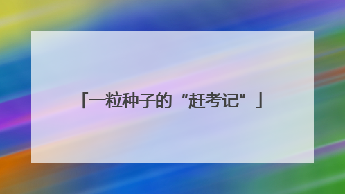 一粒种子的“赶考记”