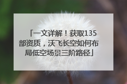 一文详解！获取135部资质，沃飞长空如何布局低空场景三阶路径