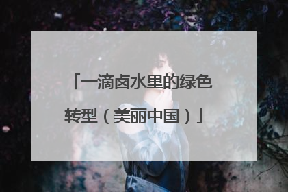 一滴卤水里的绿色转型（美丽中国）