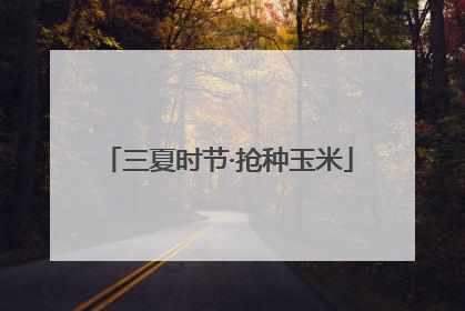 三夏时节·抢种玉米