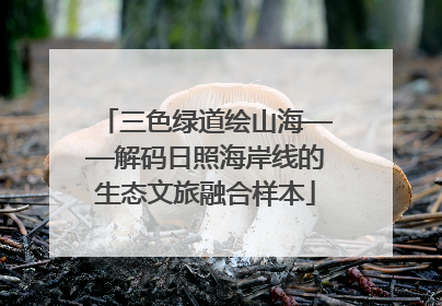 三色绿道绘山海——解码日照海岸线的生态文旅融合样本