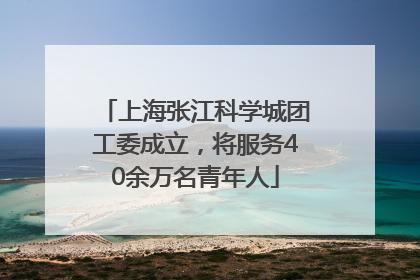 上海张江科学城团工委成立，将服务40余万名青年人