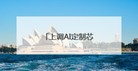 上调AI定制芯片市场目标、算力持续增加，英伟达的对手发起挑战