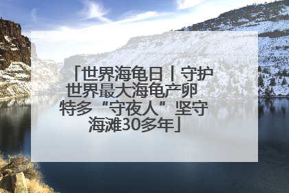 世界海龟日丨守护世界最大海龟产卵 特多“守夜人”坚守海滩30多年