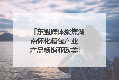 东盟媒体聚焦湖南怀化箱包产业 产品畅销亚欧美