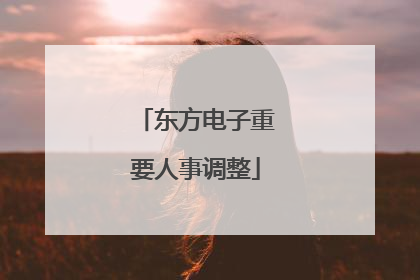 东方电子重要人事调整